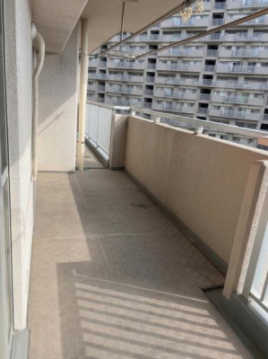 �o���R�j�[ ������ǍD�ȃo���R�j�[