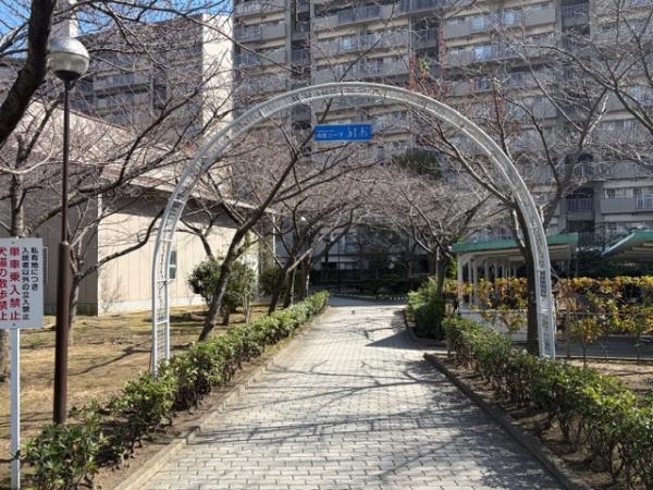 ���̑����p�� �~�n���̃G���g�����X�܂ł̃A�v���[�`