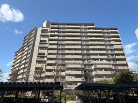 ���̑����n �o���R�j�[���̊O��