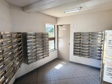 ���̑����p�� -