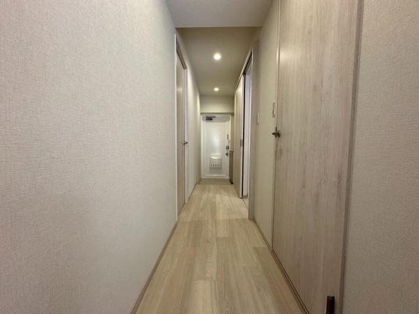 ���̑����� -