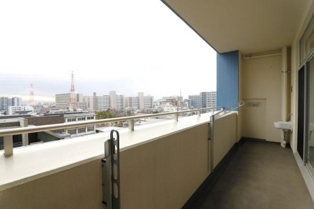 �o���R�j�[ ������ǍD�ȃo���R�j�[