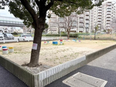 ���̑� �~�n������