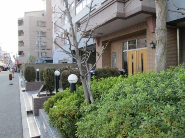 �G���g�����X -