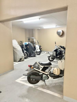 ���̑����n �����u��ŉJ�ɔG��܂���B