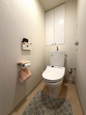 �g�C�� �������̂���g�C���ł��ꂢ�����ς��