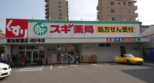 ���ӊ� �y�h���b�O�X�g�A�z�X�M��Ǔ����ꉮ�X�F331�u