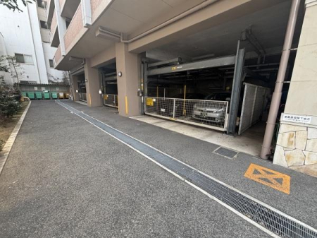  �~�n���ɒ��ԏ�