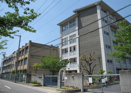 ���ӊ� �y���w�Z�z��s�����B���w�Z�F1517�u