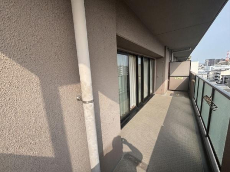 �o���R�j�[ �p�����̎O�ʃo���R�j�[�������