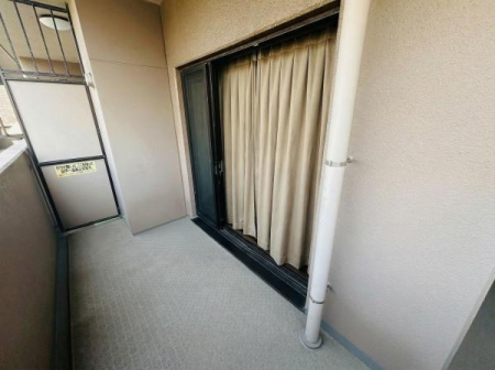 �o���R�j�[ ������ǍD�ȃo���R�j�[��