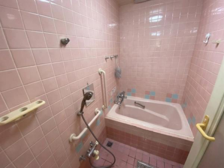 ���� ���ʐ^�͉Ƌ�������H���Ă���܂��B