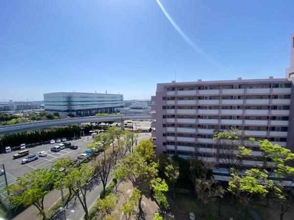 �Z�˂���̒��]�ʐ^ �z����ǍD�i�F�ǂ���