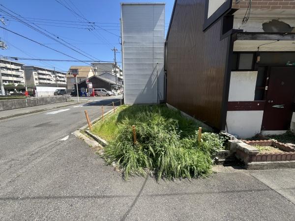 ���n�y�n�ʐ^ -