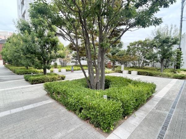 ���̑����n -