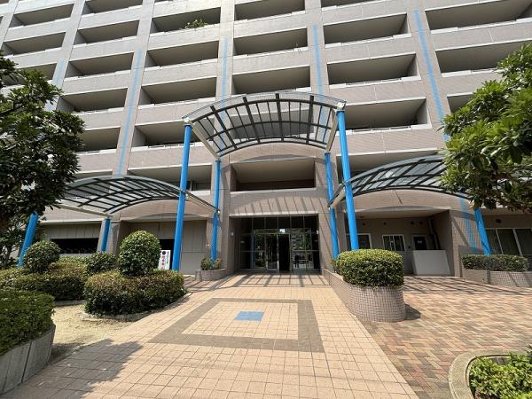 �G���g�����X ����������G���g�����X�ł���