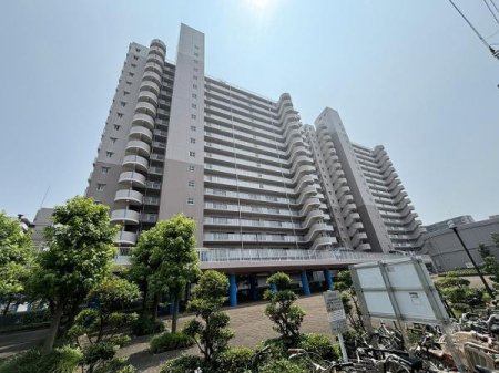 ���̑����n -