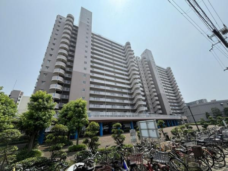 ���̑����n -