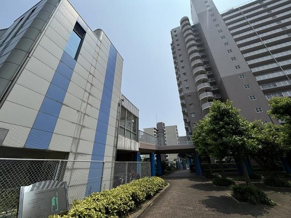 ���̑����n -