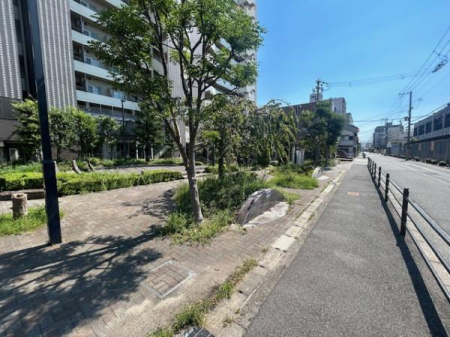 ���̑����n -