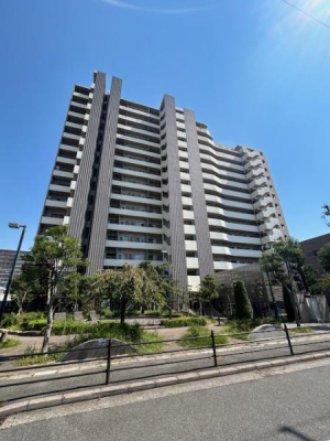 ���̑����n -