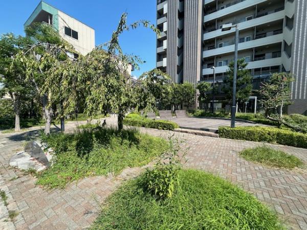 ���̑����n -