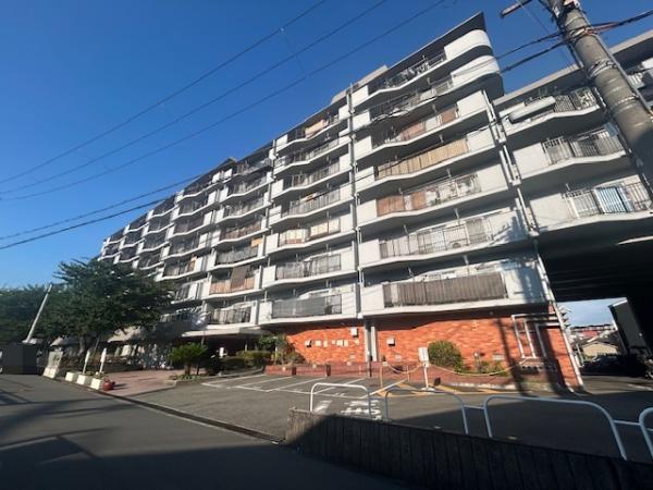 ���̑����n -