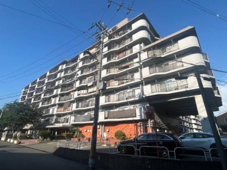 ���̑����n -