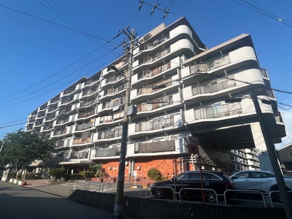 ���̑����n -