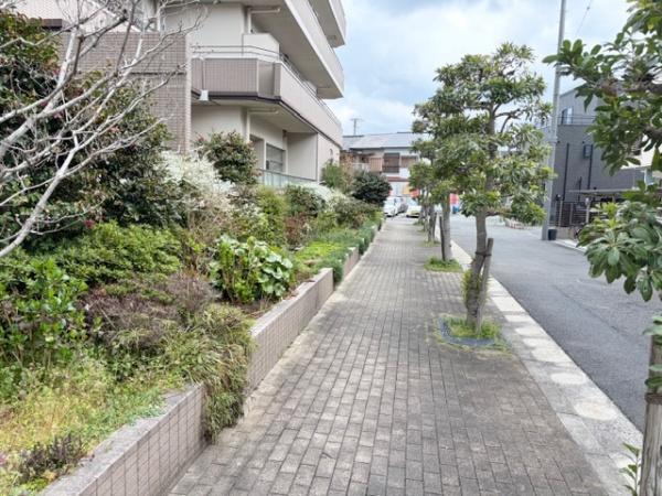 ���̑����p�� -