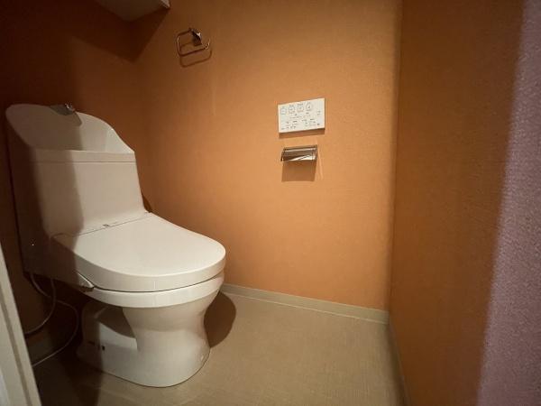 �g�C�� �������̂���g�C���ł��ꂢ�����ς��
