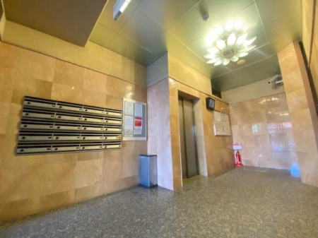 �G���g�����X ����������G���g�����X�ł���